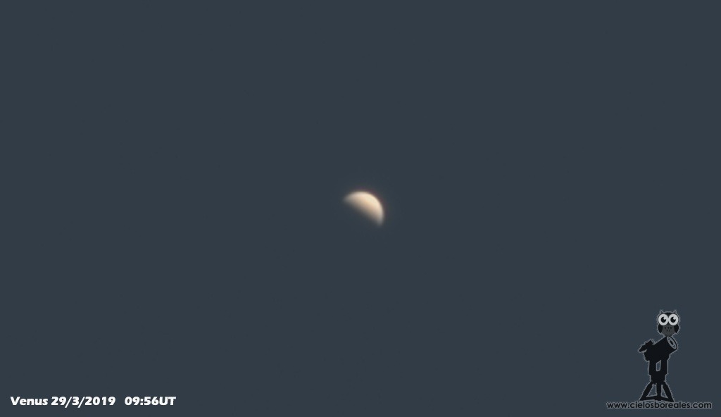 Venus de día en el cielo desde casa